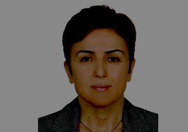 Aysen-AYSEN-366x258-1.jpg