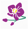 orkide-2-100.png