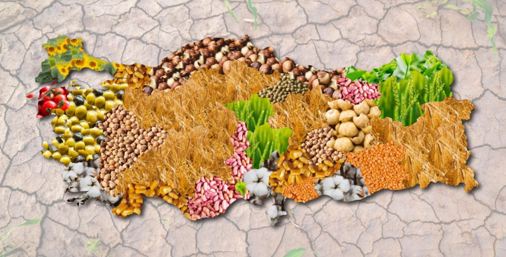 turkiye-tarim-haritasi-1024x520-1.jpg